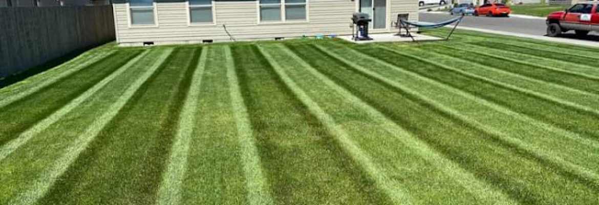 Four Seasons Landscaping Inc