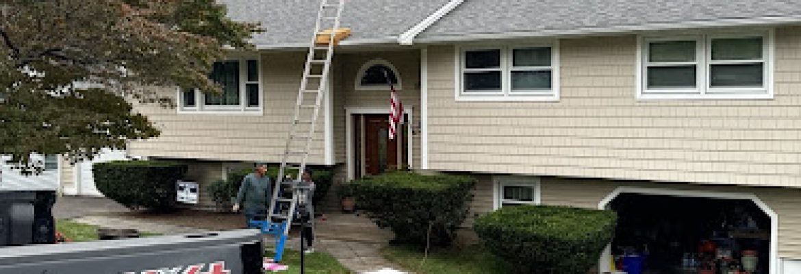 DG Roof Pros