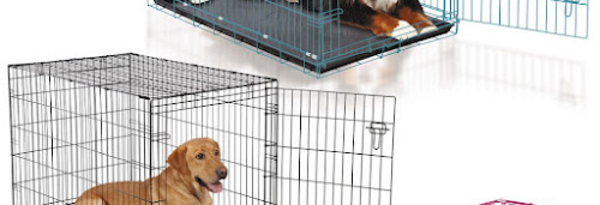 Posh Pet Glamour Boutique