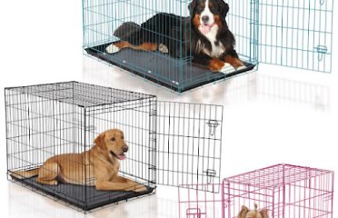 Posh Pet Glamour Boutique