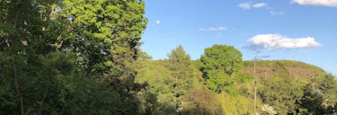 Edgerton Park