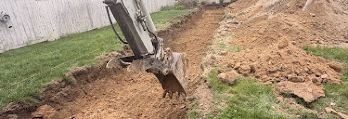 Barletta Excavation