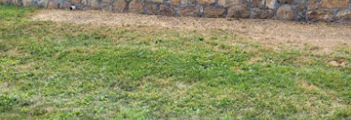 Custom Landscape Construction LLC