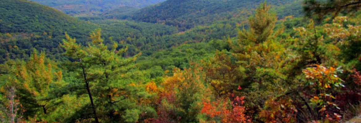 Pine Knob Loop via Appalachian Trail