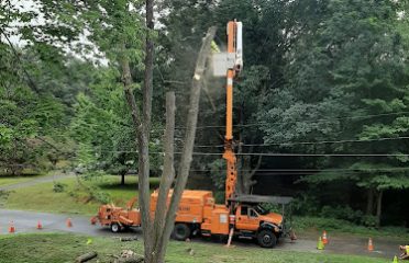 Asplundh Tree Expert, LLC