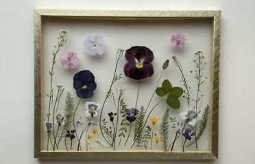 Picked Posies