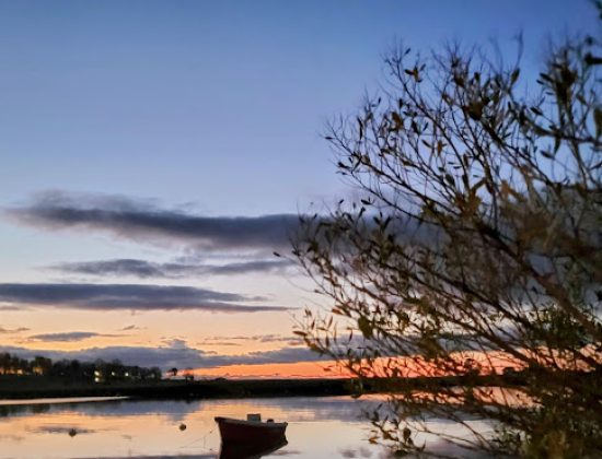 William Pitt Sotheby’s International Realty – Southport Brokerage