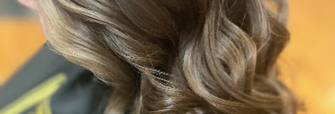 Elan Hair Design & Salon Services