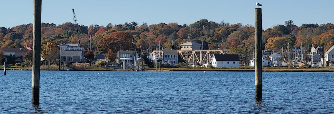 Williams Beach Park