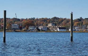 Williams Beach Park