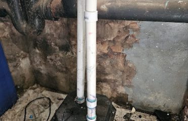 Master Rooter: Sewer and Drain Cleaning Service