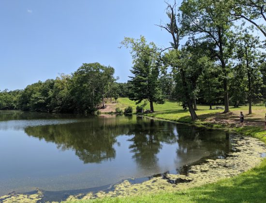 Wharton Brook State Park
