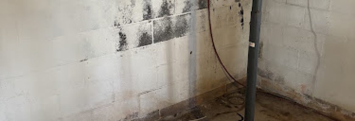 1-800-Plumber + Air of Fairfield County