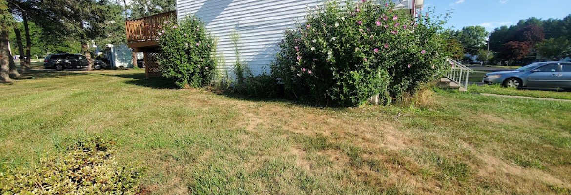 Emmanuel Adonai Lawn Care And Tree Services LLC