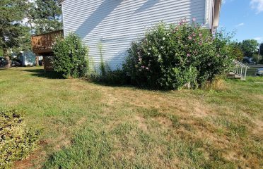 Emmanuel Adonai Lawn Care And Tree Services LLC
