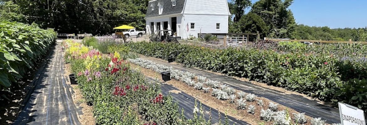 Northern Farm and Flowers LLC