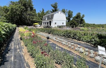 Northern Farm and Flowers LLC