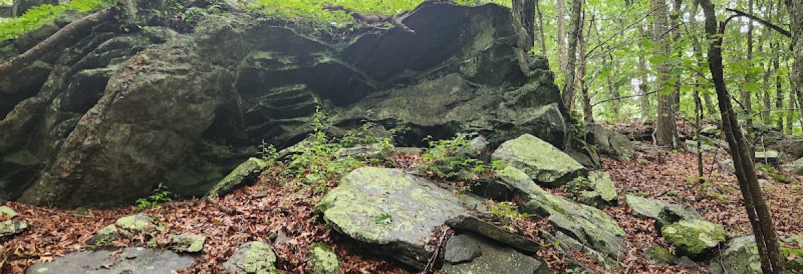 Canfield Woods Book Hill Parking