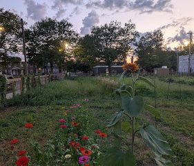 English Street Community Garden