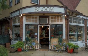 BLOOM