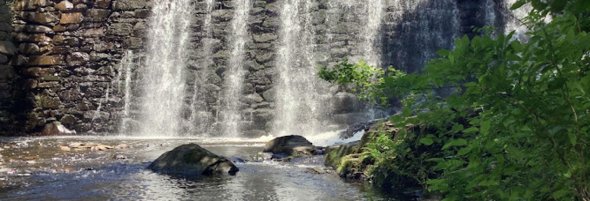 Cat Hollow Park
