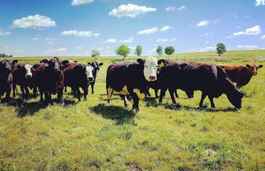 Westview Farm