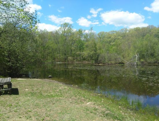 Hidden Pond Park
