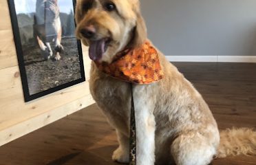 One Pampered Pup Dog Grooming