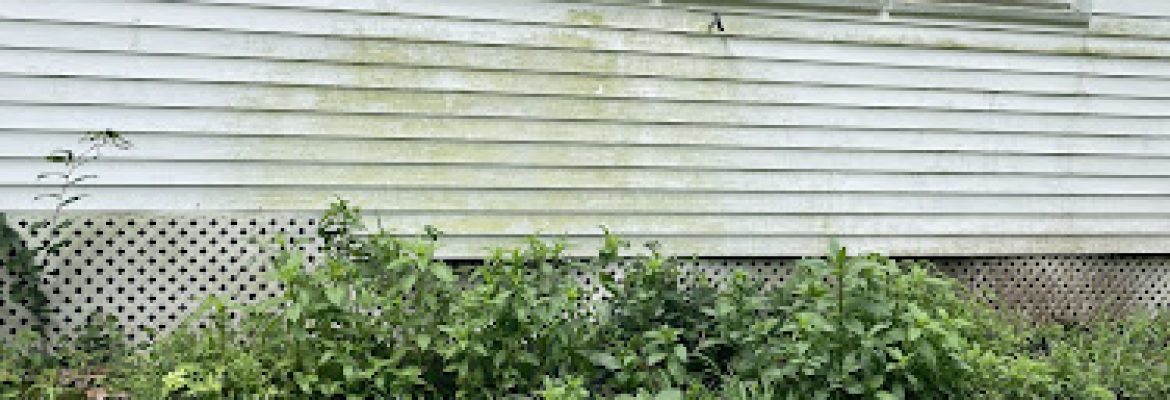 Yalesville Lawn & Garden Power