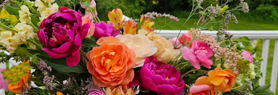 Euphoria Blossoms