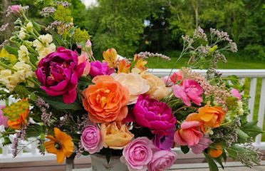 Euphoria Blossoms