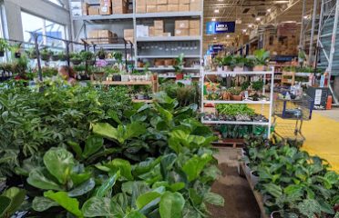 Lowe’s Home Improvement