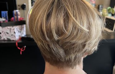 Alan Delmonte Salon