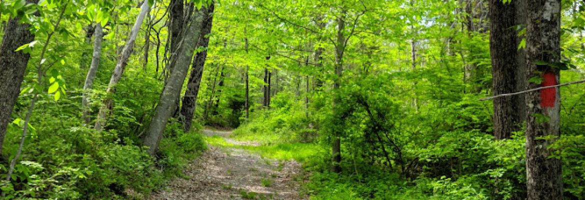 Davison Memorial Walking Park