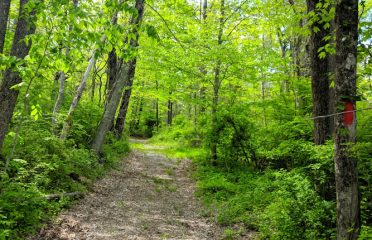 Davison Memorial Walking Park