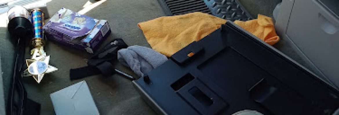 Skyline Recovery