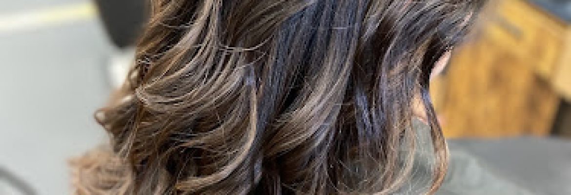 MTC Hair Studio LLC