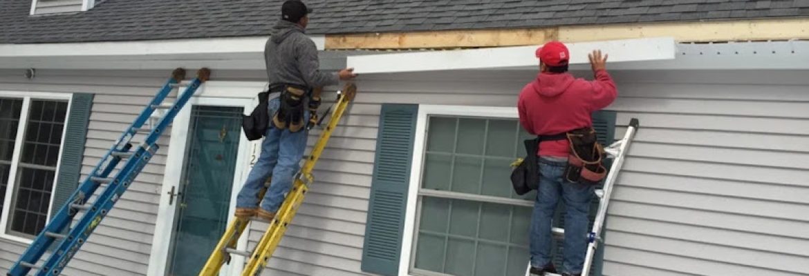 Emely Gutters & Insulation