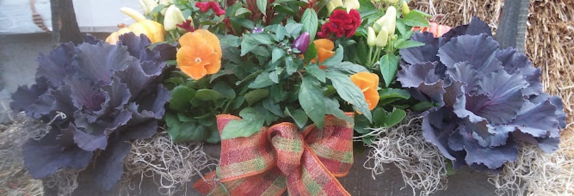 Seasonal Shop