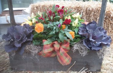 Seasonal Shop