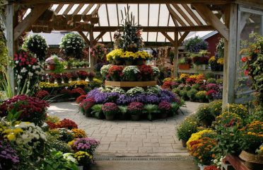 Hollandia Nurseries & Farm
