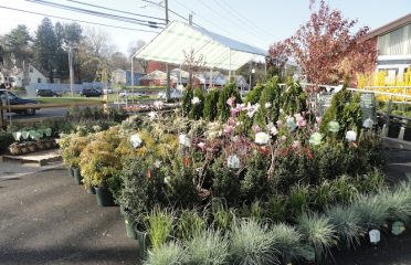 Treeland Garden Center & Nursery