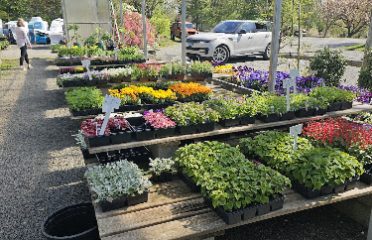 Cortina Gardens