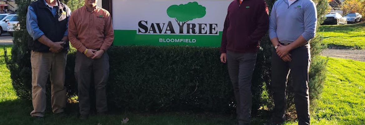 SavATree