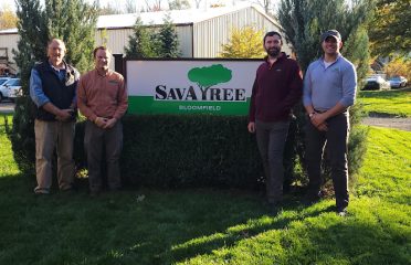 SavATree