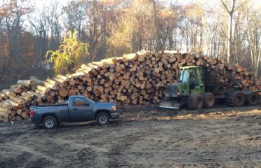 Riendeau & Sons Logging