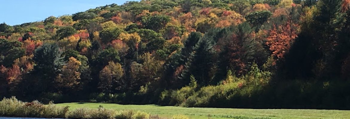 Sunnybrook State Park