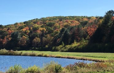 Sunnybrook State Park