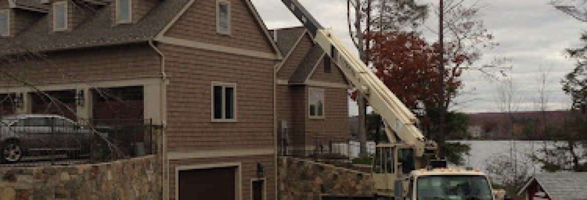 Roy’s Tree Services