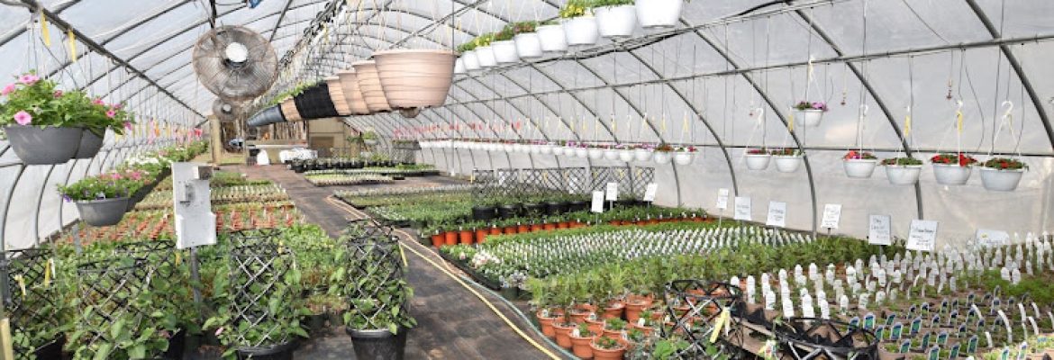 Shoreline Garden Center